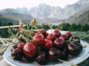 Hunza Cherry